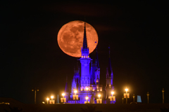 シンデレラ城と赤い月