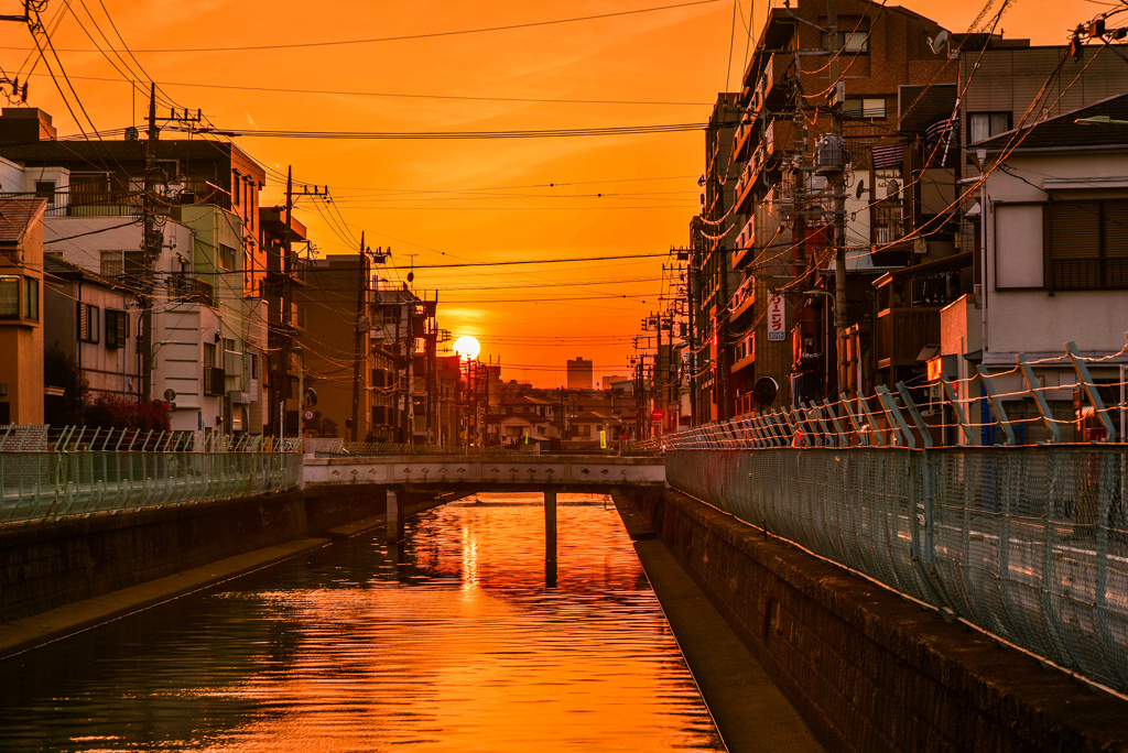 内川の夕日