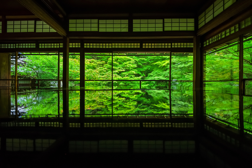 瑠璃光院の深緑(自宅編集版)