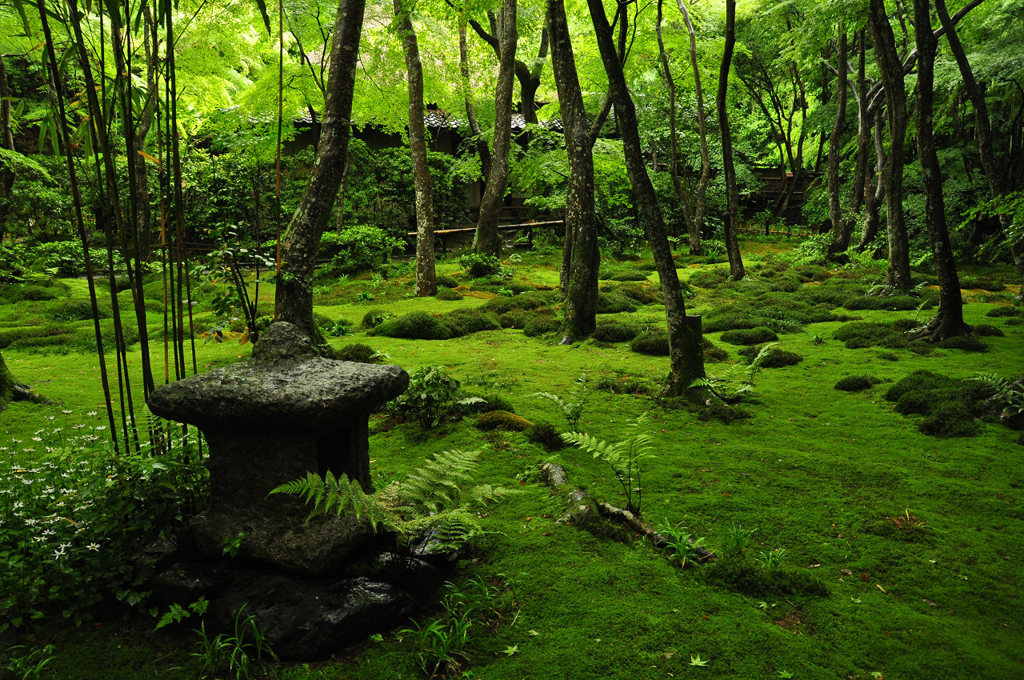 緑の祇王寺