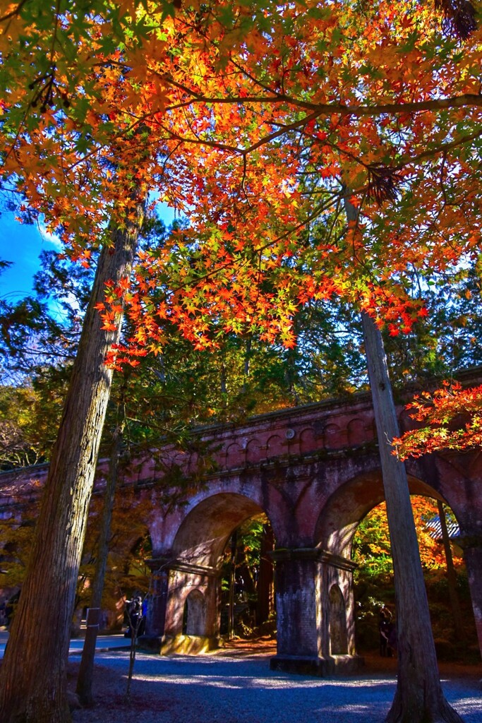 南禅寺水路閣の紅葉