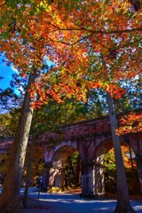 南禅寺水路閣の紅葉