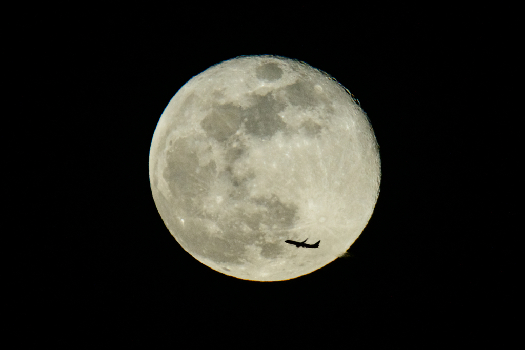 ちっちゃい月丼