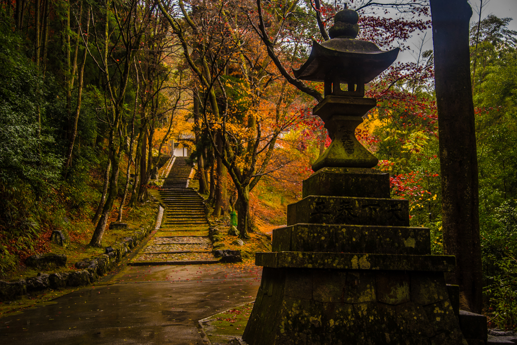 亀岡の積善寺(速報版)