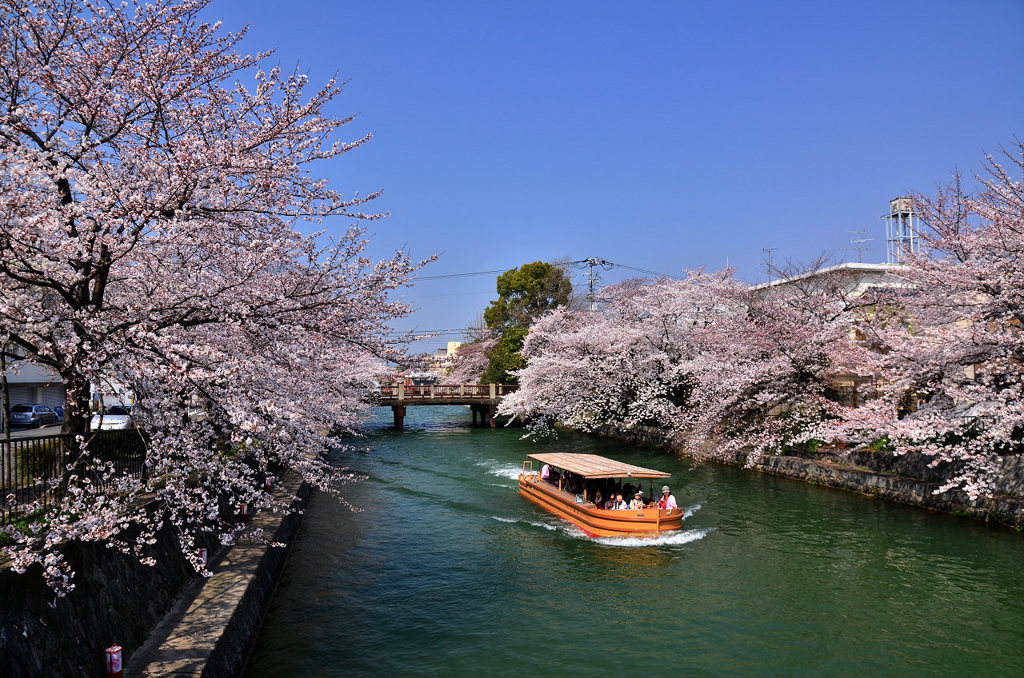 岡崎疎水