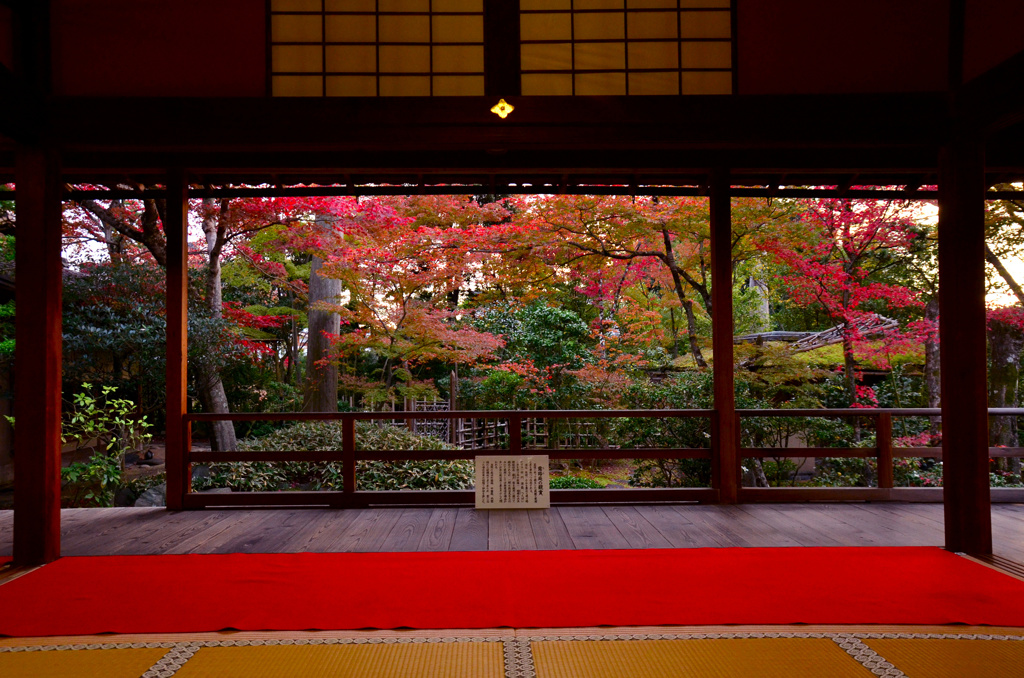 大法院の額縁紅葉