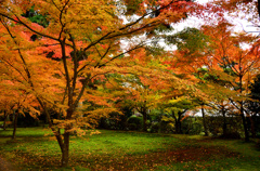 雨の三千院