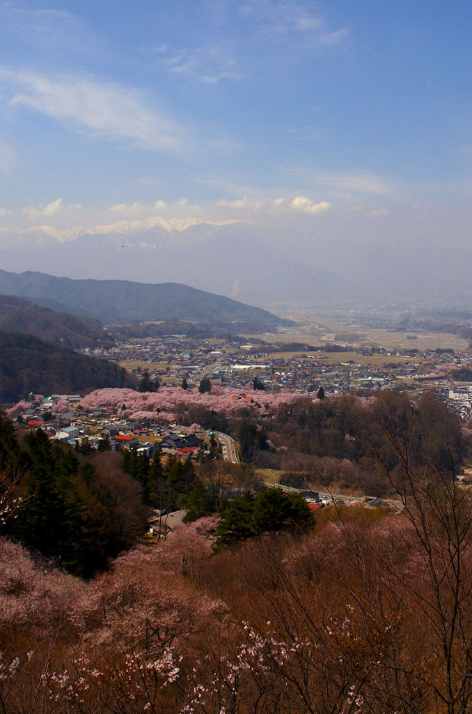 高遠城址公園を見下ろして