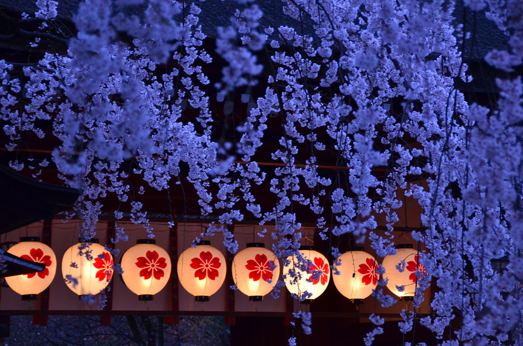 平野神社の黄昏