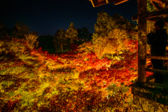 東福寺 紅葉ライトアップ