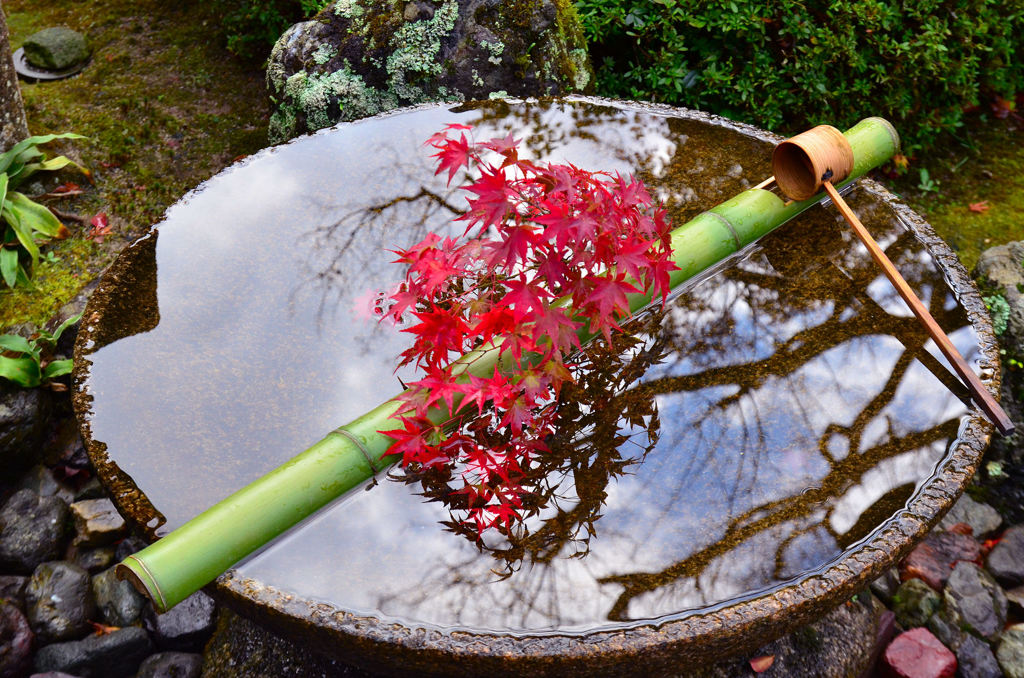 京都の美意識