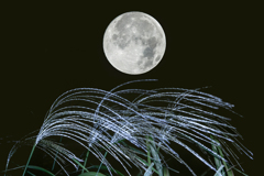 中秋の名月(合成)
