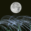中秋の名月(合成)