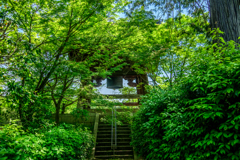 緑に包まれた鐘楼堂