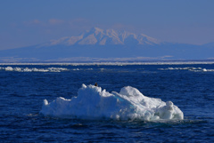 斜里岳と流氷と、、、