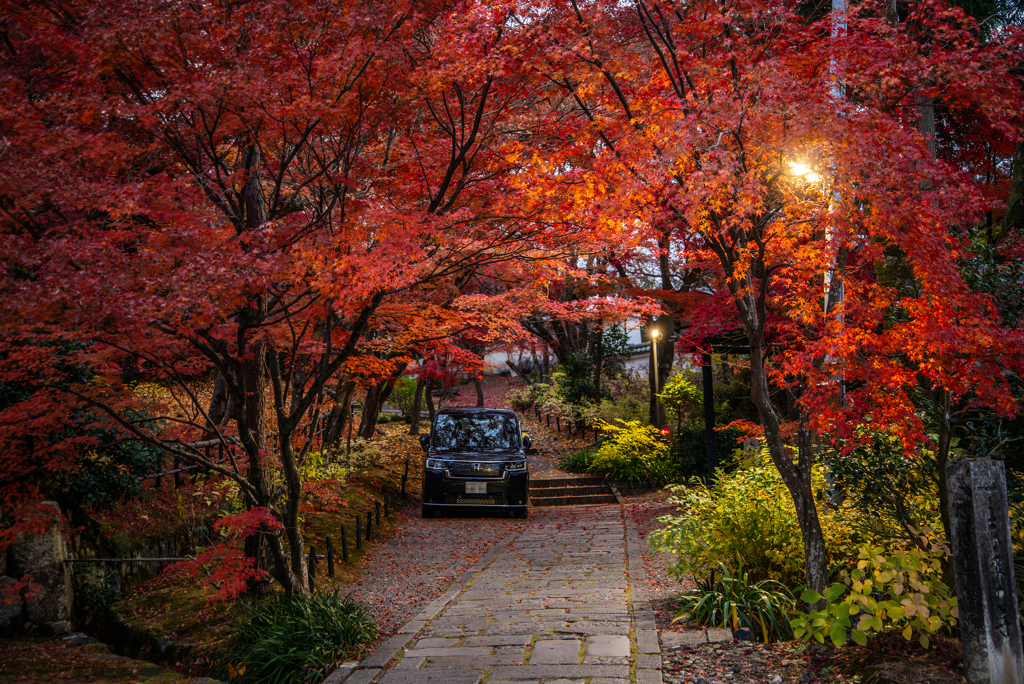 紅葉車庫