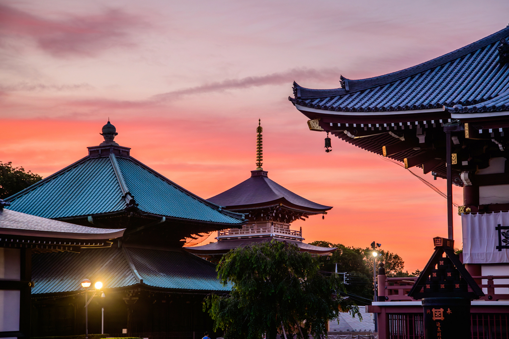池上本門寺の夕焼け2