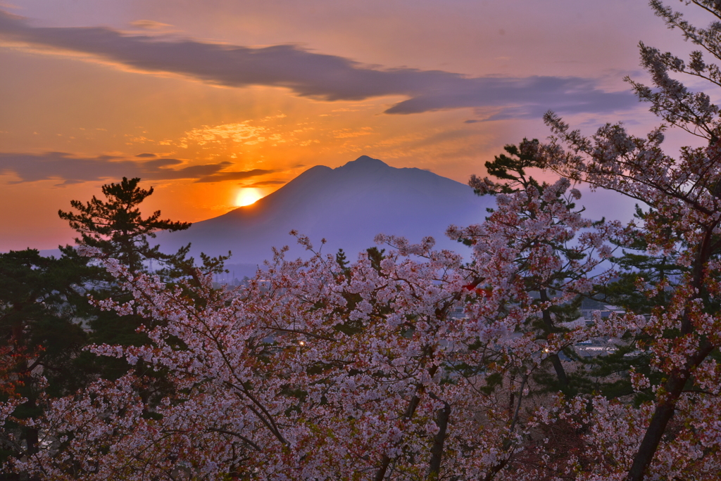 岩木山と桜と夕日