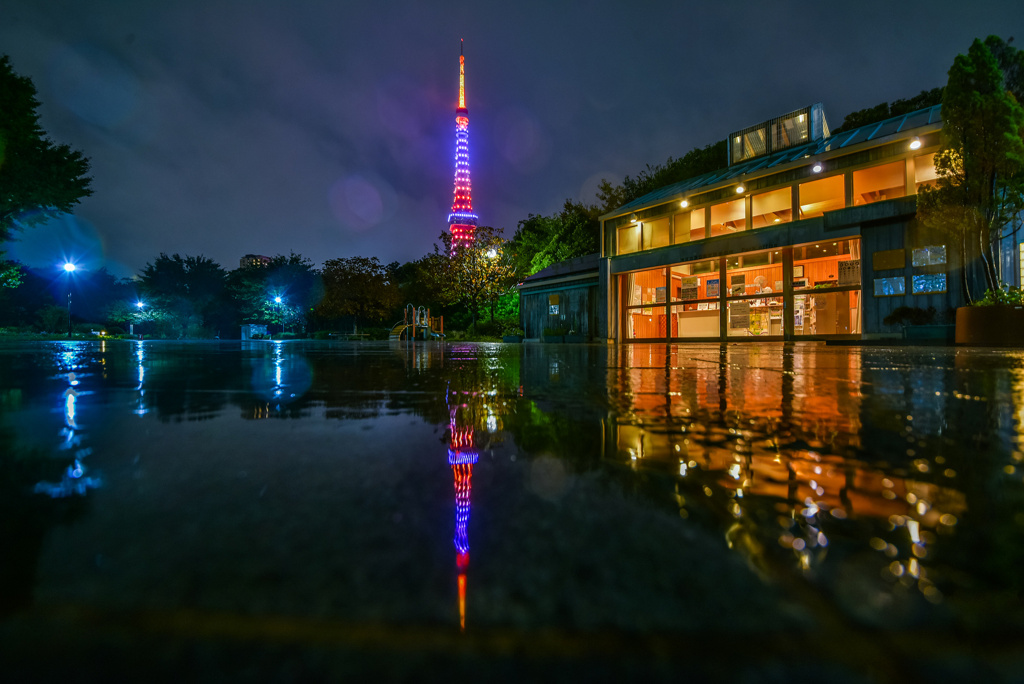 雨の芝公園2