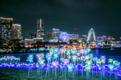 横浜港フォトジェニックイルミネーション(合成)