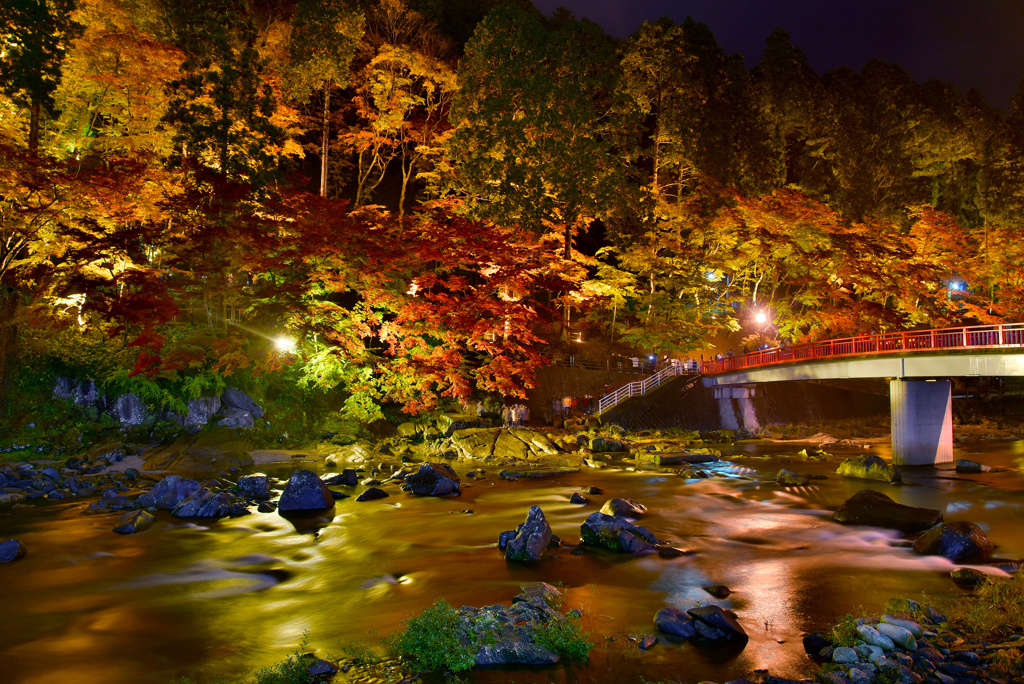 夜の香嵐渓
