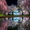 桜と弘前城2