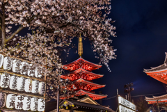 浅草寺の桜2