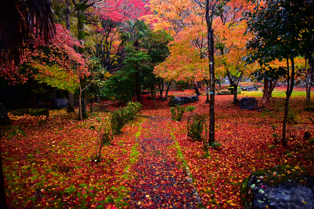 雨の日の栖賢寺2