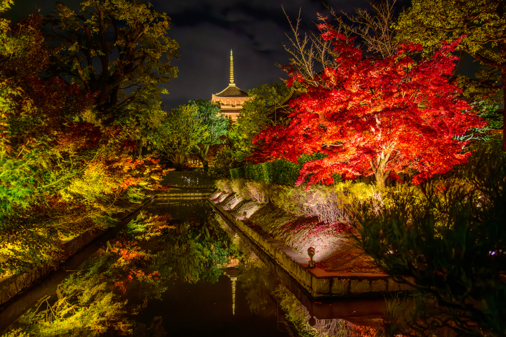 東寺の紅葉ライトアップ2