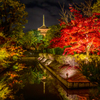 東寺の紅葉ライトアップ2
