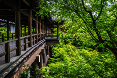 九年前の東福寺通天橋