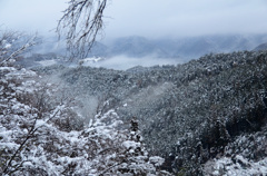 雪の吉野山2