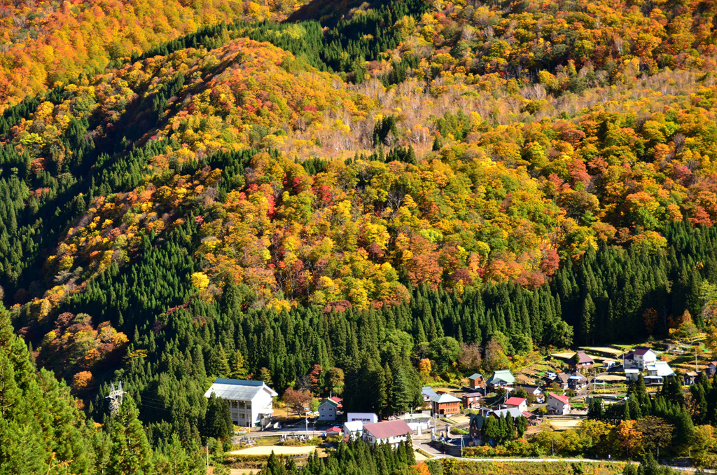 秋山郷 大赤沢の紅葉