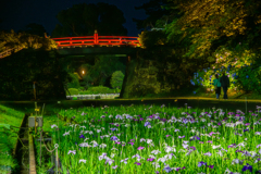 小田原城あじさい花菖蒲まつり