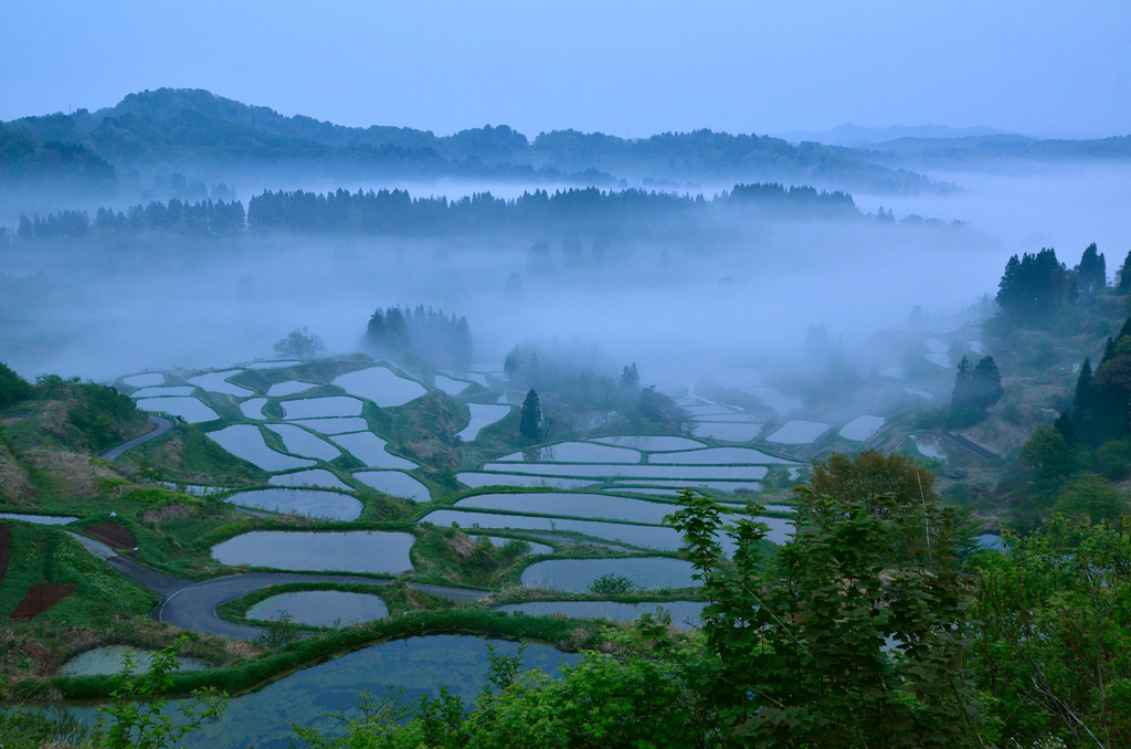 朝霧の星峠