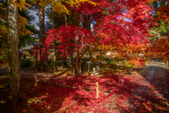 鹿王院 紅蓮の参道