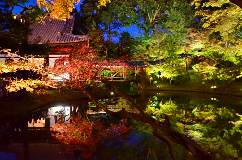 高台寺の夜