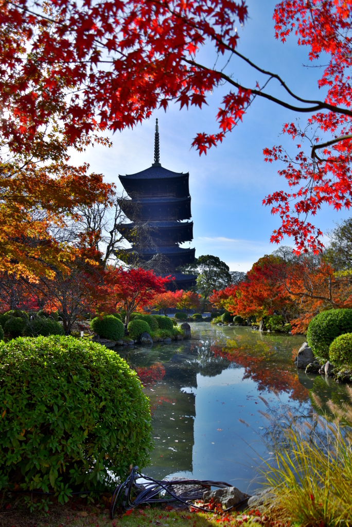 東寺の朝