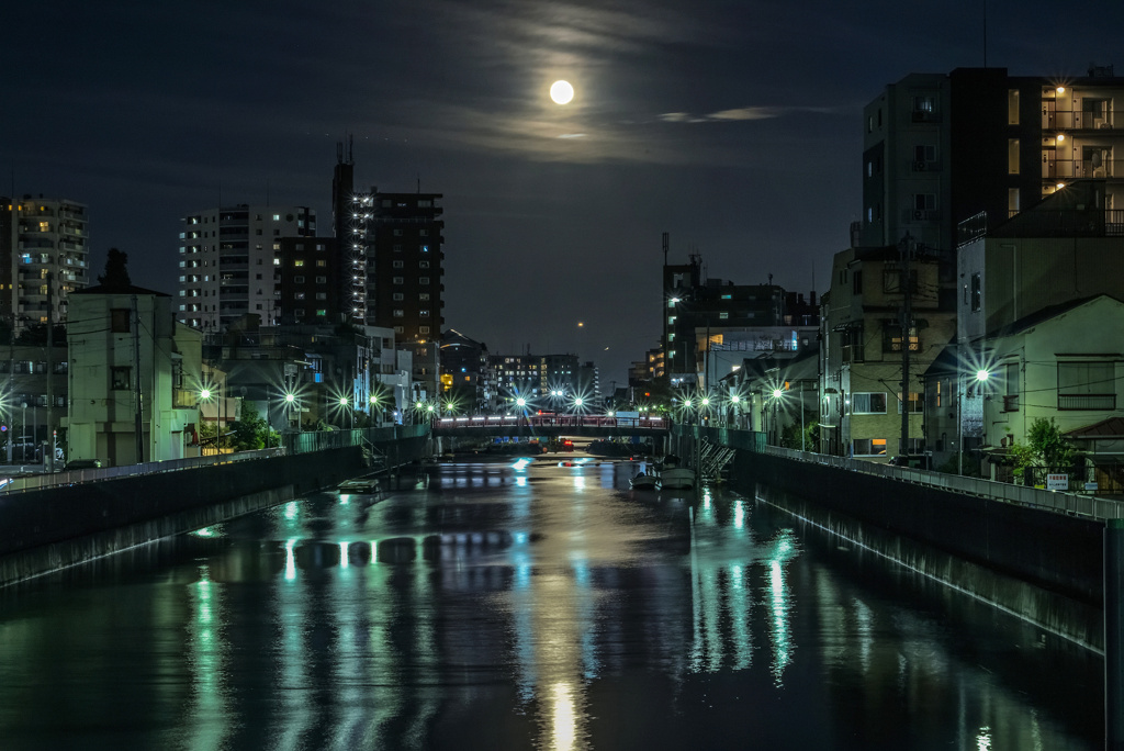月夜の呑川