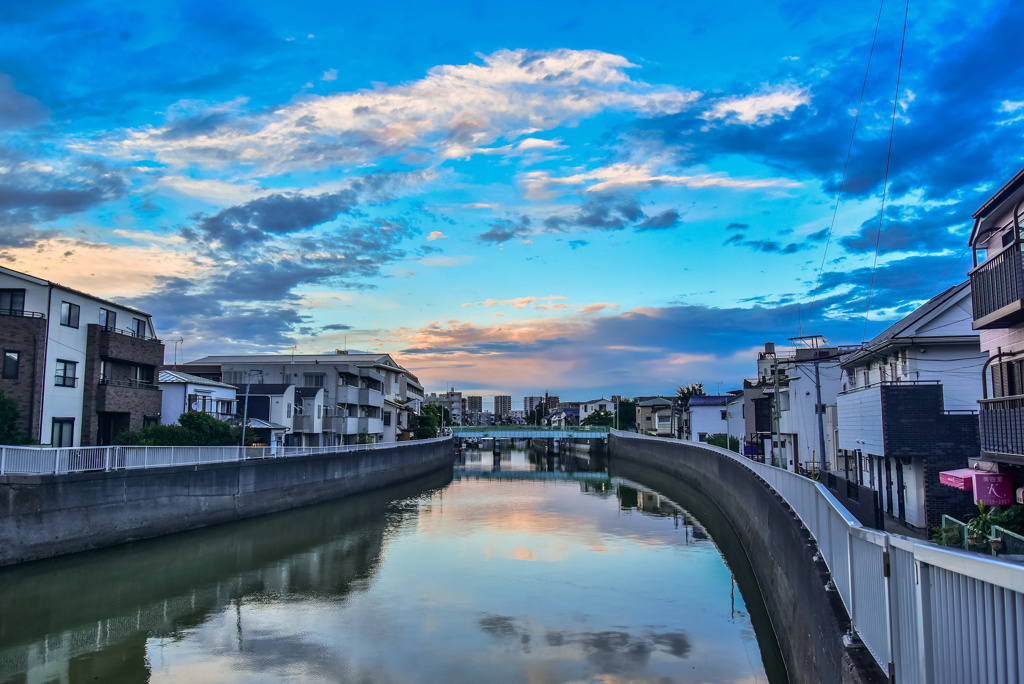 呑川夕景2
