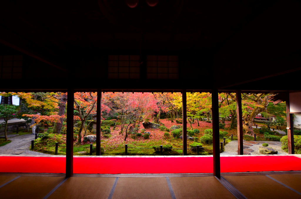 今週の圓光寺