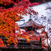紅葉と三重塔
