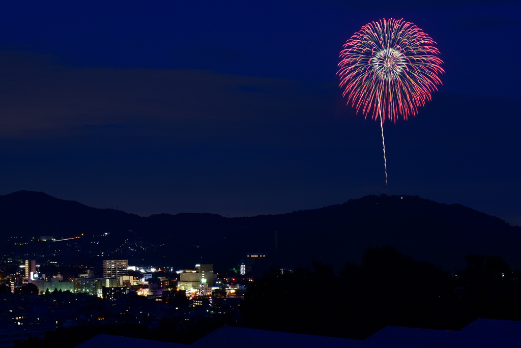 秦野たばこ祭り2