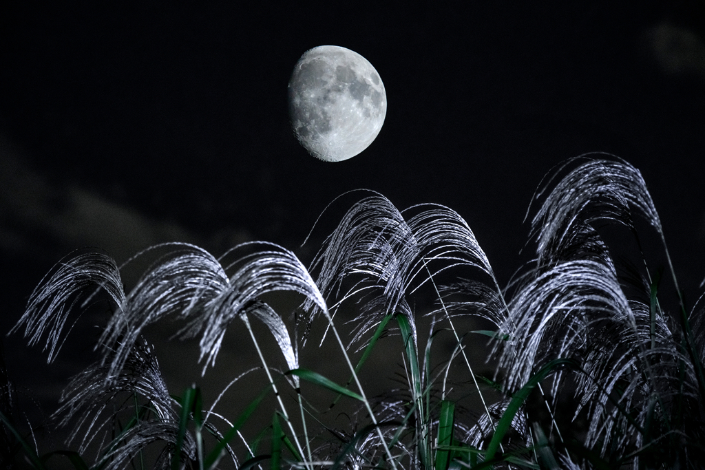 十三夜の月(合成)