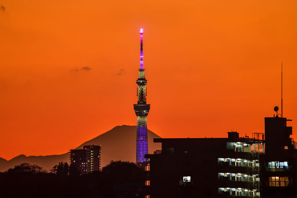 スカイツリーと富士山