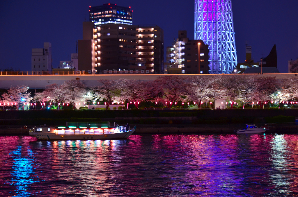 隅田川夜桜2 By 鈴電 Id 写真共有サイト Photohito