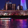 隅田川夜桜2