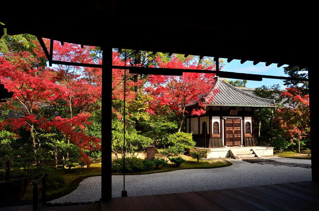 建仁寺の紅葉