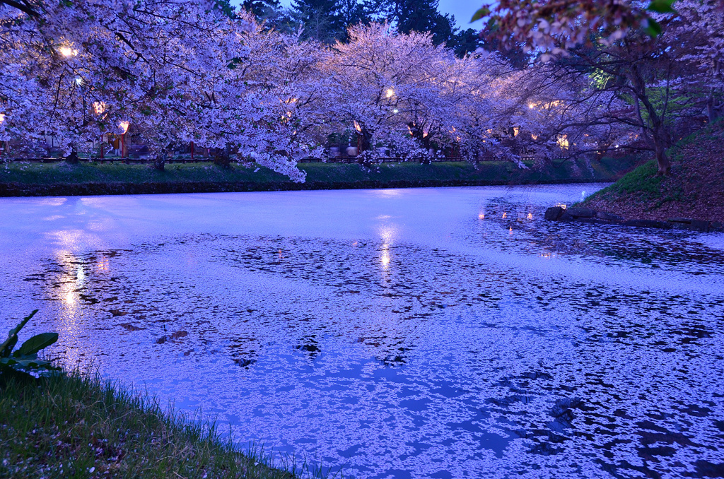 花筏というには...