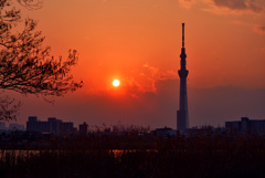 荒川の夕日